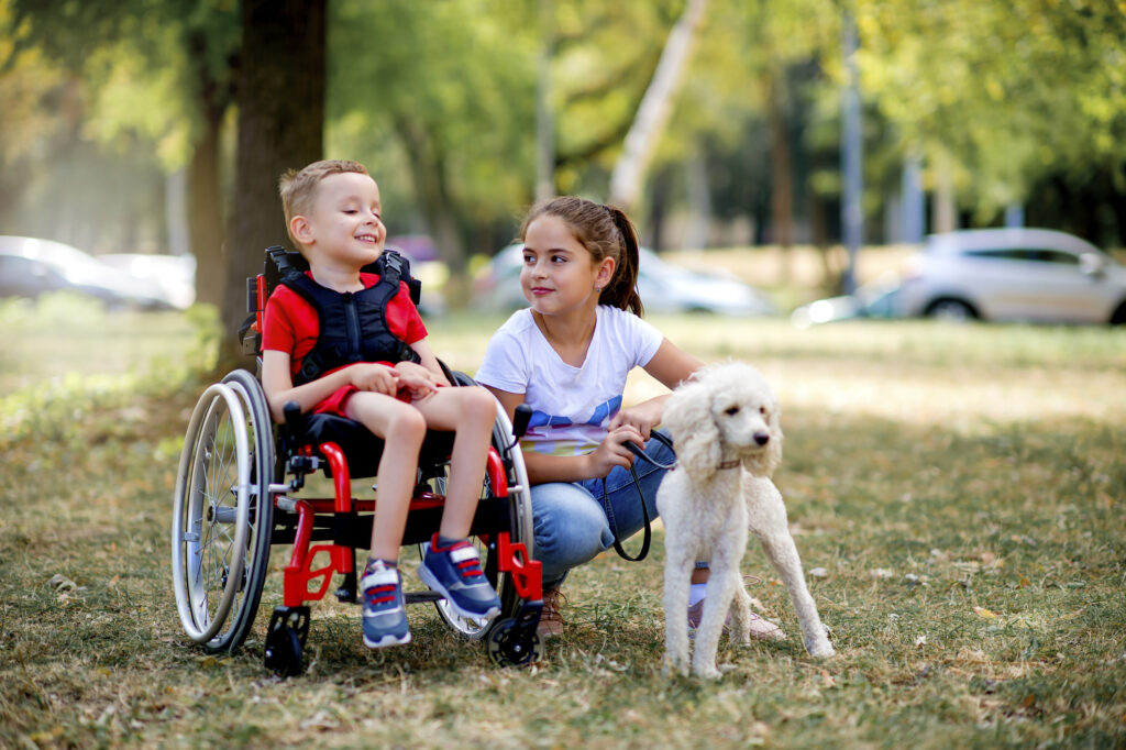 A young boy in a wheelchair plays in a park with his sister and dog